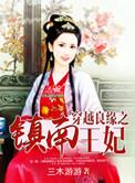 穿越良缘之镇南王妃2K