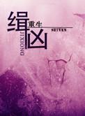 缉凶侦情