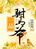 一品驸马爷弹指一壶醉