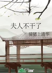 夫人不干了txt