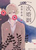 二次婚姻全文在线阅读