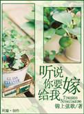 听我说今天你要嫁给我歌词