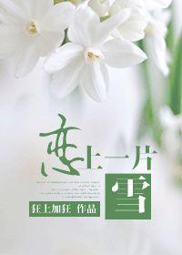 恋上一片雪全文阅读