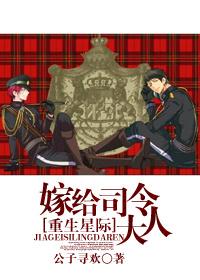 星际之嫁给司令大人讲什么