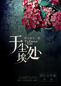 于尘埃处讲什么