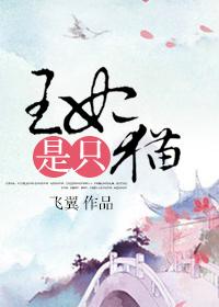 王妃是只猫王爷有了末婚妻