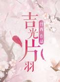 吉光片羽出处