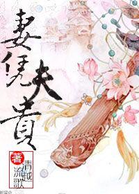 妻凭夫贵男主是谁