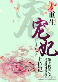 重生宠妃上位手册