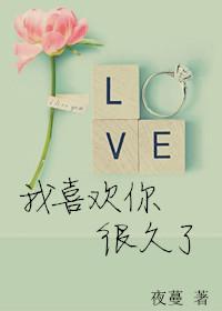 我喜欢你很久了 作者夜蔓