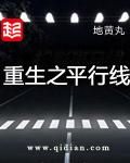 重生之平行线无错字