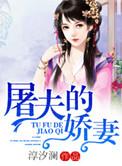 屠夫的娇妻 淳汐澜免费阅读全文最新章节更新