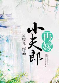 再嫁小夫郎听书