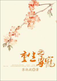 重生之专宠敌将