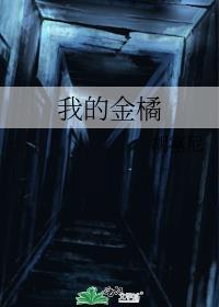 我的金橘笔趣阁免费观看