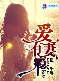 爱妻讲什么