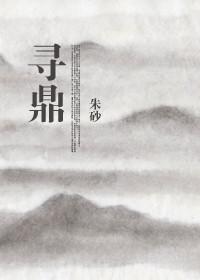 寻鼎记第一季