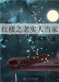 红楼之老实人当家晋江