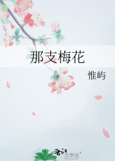 那支梅花txt