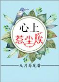 心上惹尘埃短剧