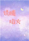 诱捕焰火 晋江