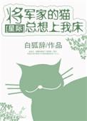 将军家的小猫