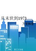从末世到年代知青