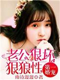 第一宠婚老公