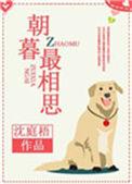 水木湛清华