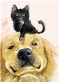 穿成猫后靠玄学爆红全文阅读