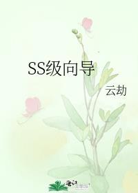 s级精神向导