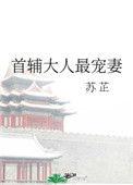 首辅大人宠妻日常怎么样