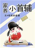 家养小首辅 假面的盛宴TXT
