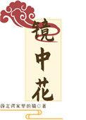 镜中花水中月梦中你