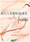 顾夫人宠不得免费阅读