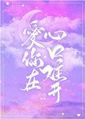 爱你在心口难开dj版金曲