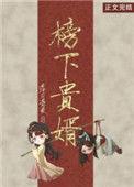 榜下贵婿阅读