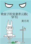 败家子的宠妻青云路(穿书)全文