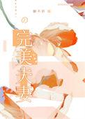 完美夫妻在线观看完整版免费