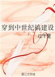 穿到中世纪搞建设(西方 穿越)