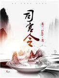 司宫令这本书讲了什么