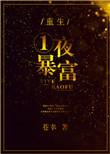 一夜暴富txt