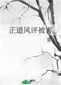 正道风评被害推书