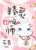 精灵召唤师TXT资源