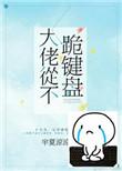大佬从不跪键盘txt趣书网