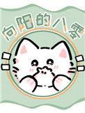 叫向阳的