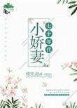 七十年代小娇妻晴空灵免费空