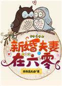 穿越六零新婚丈夫免费