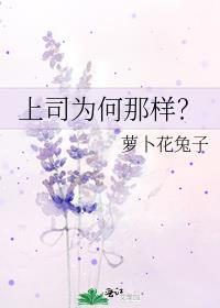 上司为何那样 萝卜花兔子笔趣阁