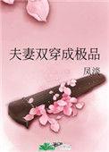 夫妻双双齐穿越txt